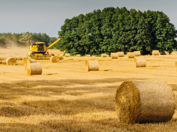 A photo representing Richstone Park's Business Investments services