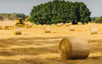 Photo: Business Investments
