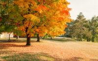 Photo: Inheritance Tax Planning